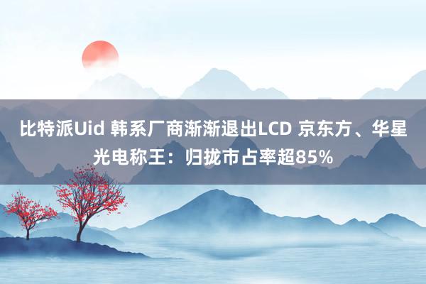 比特派Uid 韩系厂商渐渐退出LCD 京东方、华星光电称王：归拢市占率超85%