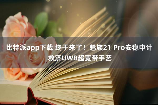 比特派app下载 终于来了！魅族21 Pro安稳中计 救济UWB超宽带手艺